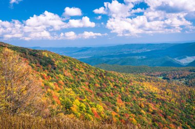 Ladin topuzu overlook Monongahela Ulusal orman