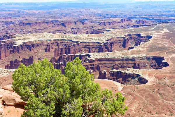 stock image Island in the Sky vista, Canyonlands National Park