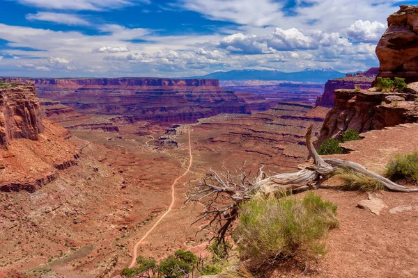 View Mesa Arch Trail Island Sky Canyonlands National Park — Stock Photo, Image