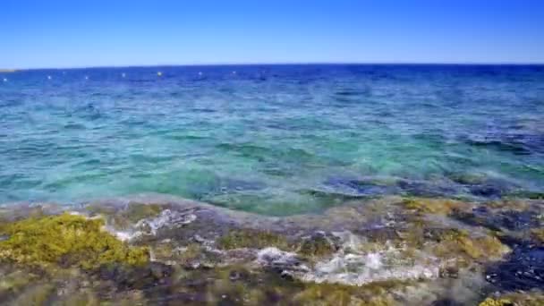 Golven Breken Het Strand Rotsen Algen — Stockvideo