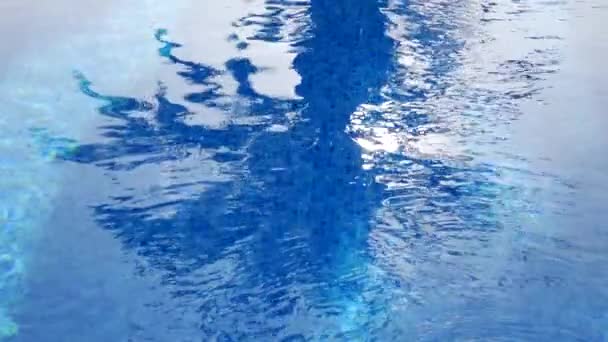 Reflection Palm Tree Swimming Pool Rippling Water — Stock Video