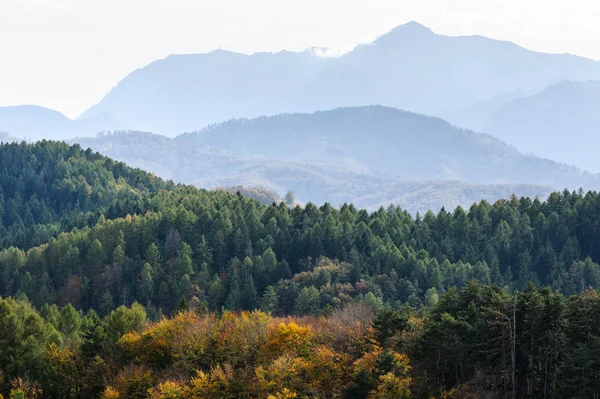 Paysage de montagne forêt d'automne — Photo