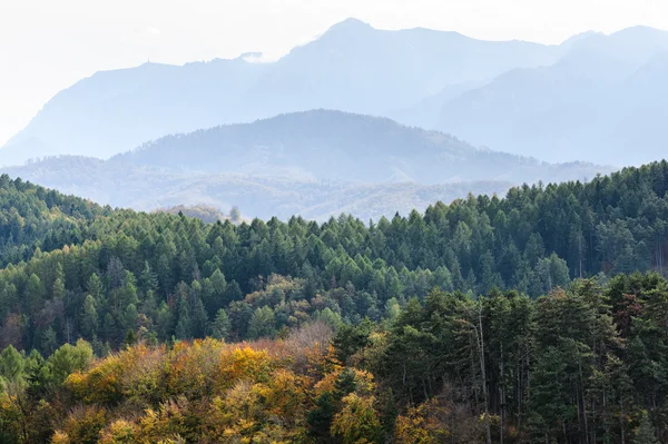Paysage de montagne forêt d'automne — Photo