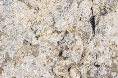 Liken dokulu doğal kaya