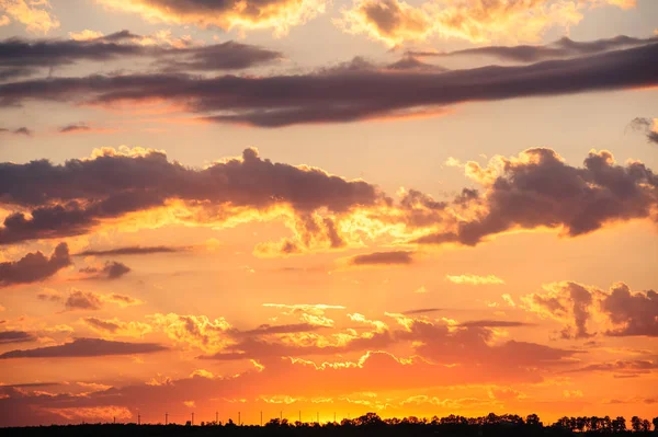 Zachód słońca nad łąka — Zdjęcie stockowe