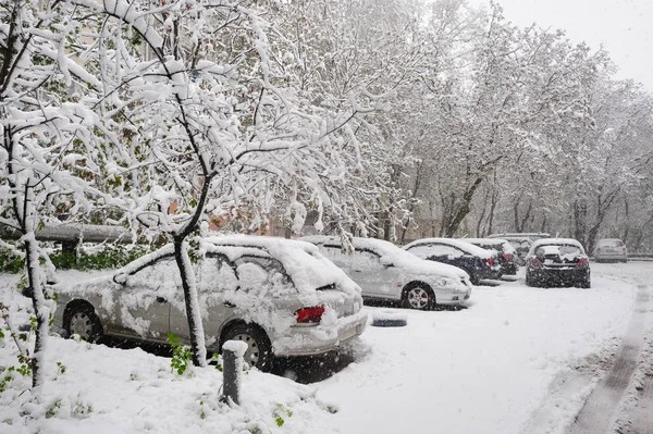 Снігові покриті автомобілі на зимовому паркінгу — стокове фото