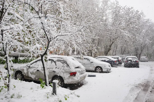 Auto innevate nel parcheggio invernale — Foto Stock