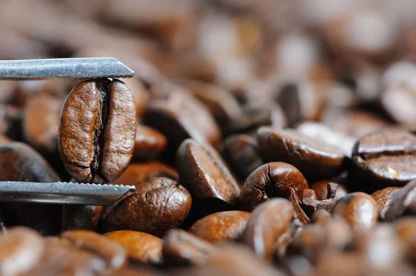 Roasted coffee beans macro — Stock Photo, Image