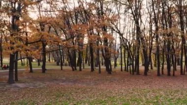 Güzel erken sonbahar parkı