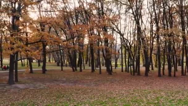 Beau parc début automne 