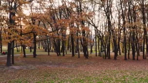 Krásný podzimní park — Stock video