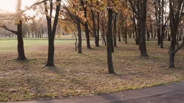 Beau parc début automne 