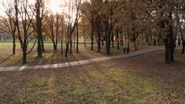 Beau parc début automne 