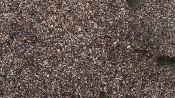 Feuilles brun automne tardif posées au sol, prises par le haut 
