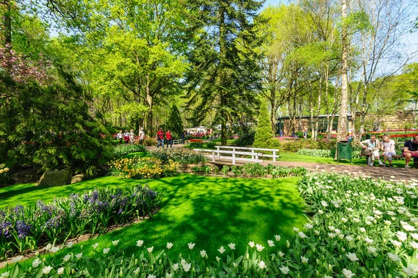 Blomsterrabatter i Keukenhof Gardens i Lisse, Nederländerna — Stockfoto