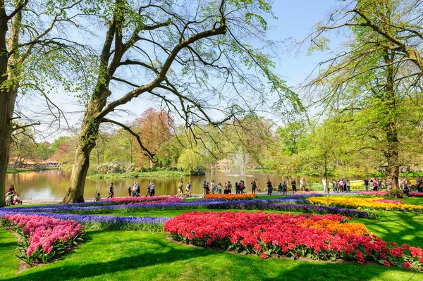 Blomsterrabatter i Keukenhof Gardens i Lisse, Nederländerna — Stockfoto