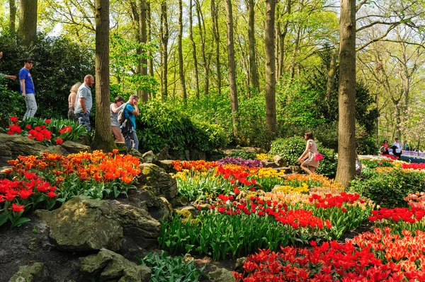 Blomsterrabatter i Keukenhof Gardens i Lisse, Nederländerna — Stockfoto