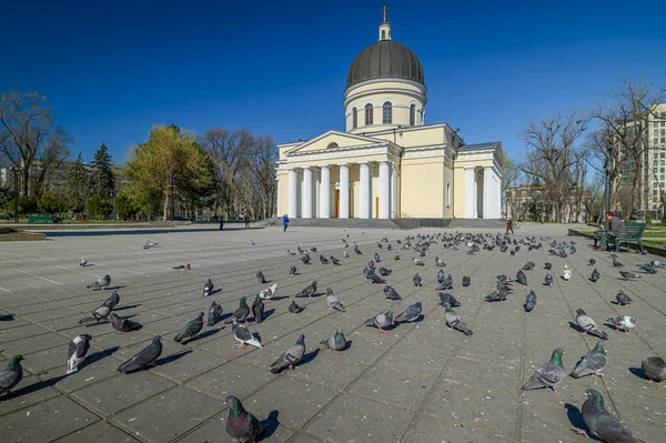Únicamente pocas personas en el parque de la plaza de la catedral en el centro de Chisinau, Moldavia durante el estado de emergencia debido a la amenaza del virus covid-19 — Foto de Stock