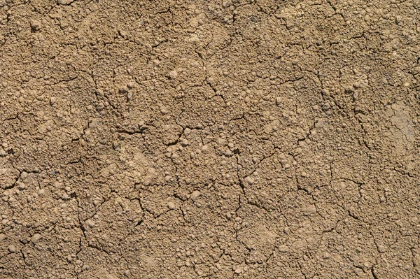 Spruckna lera marken bakgrund textur — Stockfoto