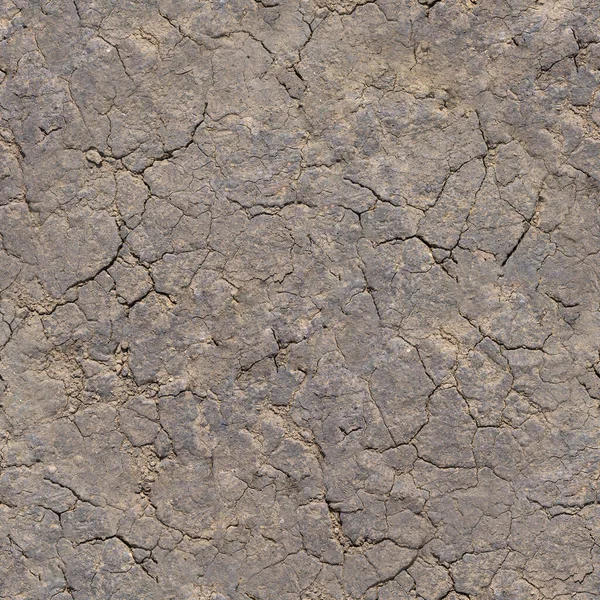 シームレスなテクスチャ-乾燥割れ粘土土 — ストック写真