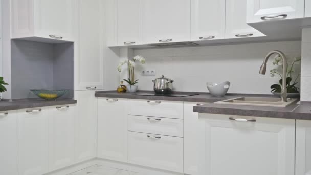 Moderní bílý dřevěný kuchyňský interiér