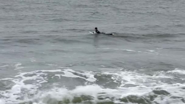 Волны кэширования серферов — стоковое видео