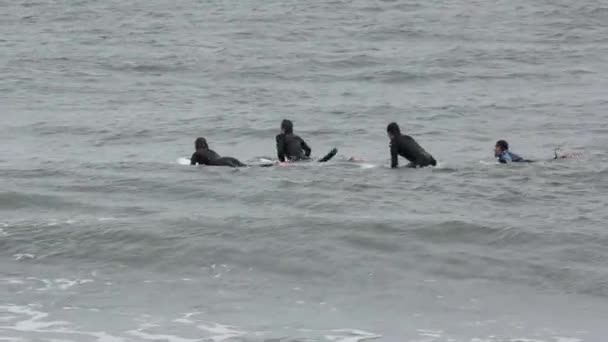 Surfers caching golven — Stockvideo