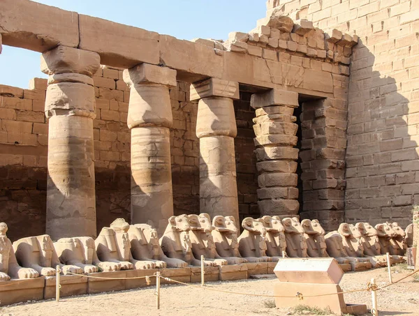 De tempel van Luxor, Egypte — Stockfoto