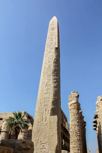 De tempel van Luxor, Egypte. — Stockfoto