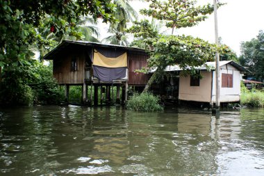 Bangkok gecekondu hayatta