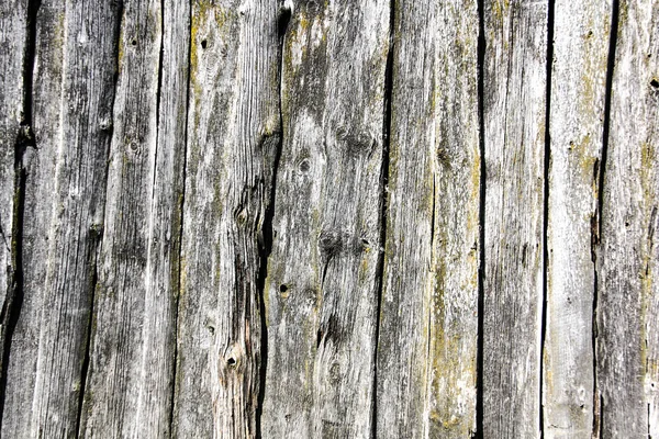 Viejo Árbol Envejecido Madera Textura Grunge Vintahe Roble — Foto de Stock