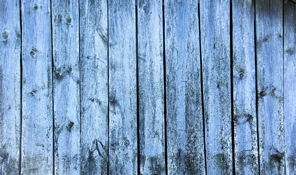 Viejo Árbol Envejecido Madera Textura Grunge Vintahe Roble — Foto de Stock