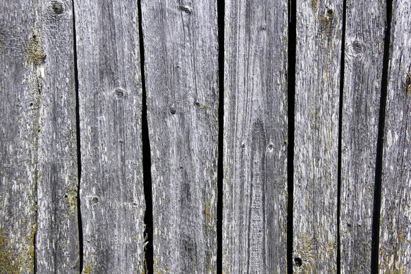 Viejo Árbol Envejecido Madera Textura Grunge Vintahe Roble — Foto de Stock