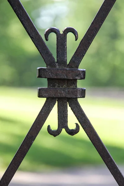 Vintage Metal Gate Grid Castle Park — Stock Photo, Image