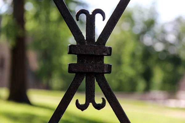 Vintage Metal Gate Grid Castle Park — Stock Photo, Image