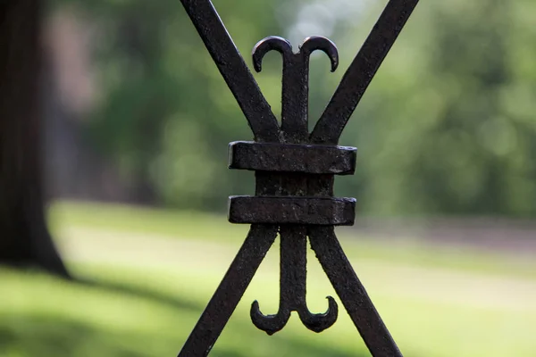 Vintage Metal Gate Grid Castle Park — Stock Photo, Image