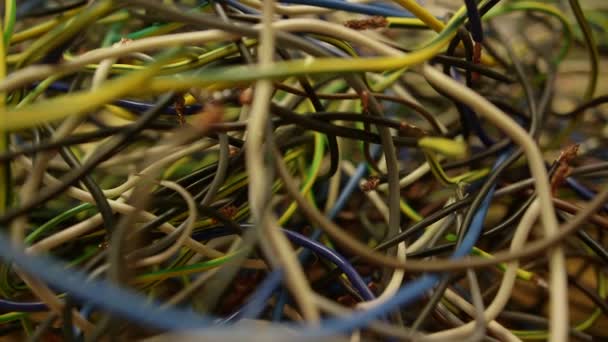 Una gran cantidad de cables eléctricos — Vídeo de stock