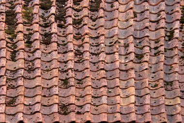 Vintage yosunlu kiremit çatı doku