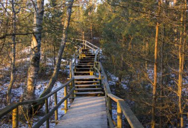 Ormanda ahşap köprü