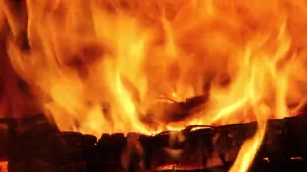 Yakacak Odun Kömür Closeup Şöminede Yanan Şömine Kor Ahşap Köz — Stok video