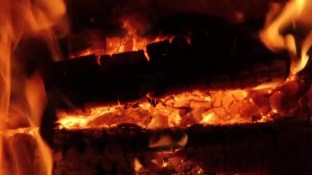 Combustion Charbon Bois Gros Plan Dans Cheminée Cheminée Braise Maison — Video