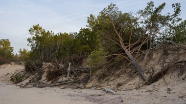 Letonya Riga 'daki Aşağı Daugava Nehri Balık Bahçesi. Güz Akşamı 'nda Eski Antika Ahşap Balıkçı Evi