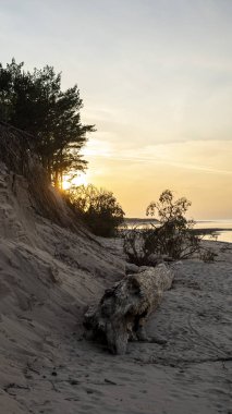 Letonya Riga 'daki Aşağı Daugava Nehri Balık Bahçesi. Güz Akşamı 'nda Eski Antika Ahşap Balıkçı Evi