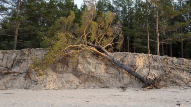 Letonya Riga 'daki Aşağı Daugava Nehri Balık Bahçesi. Güz Akşamı 'nda Eski Antika Ahşap Balıkçı Evi