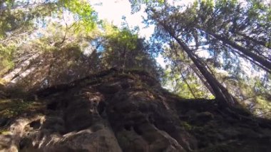 Licu Langu Sandstone Kayalıkları. Büyük Langu Mağarası. Letonya 'daki Cesis' in Arkasındaki Kum oluşumları. 