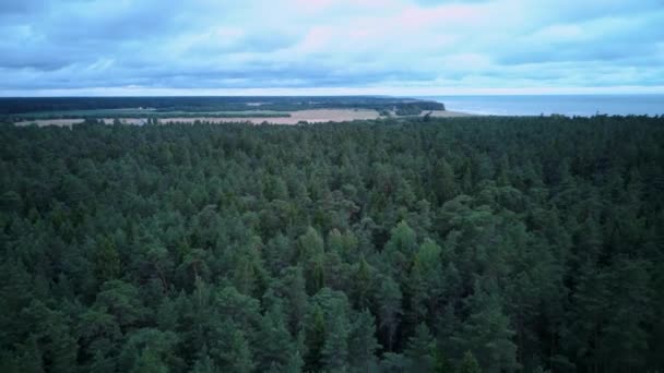 Flyger Över Kustlinjen Östersjön Jurkalne Sommar Suny Day Flygfoto Lettland — Stockvideo