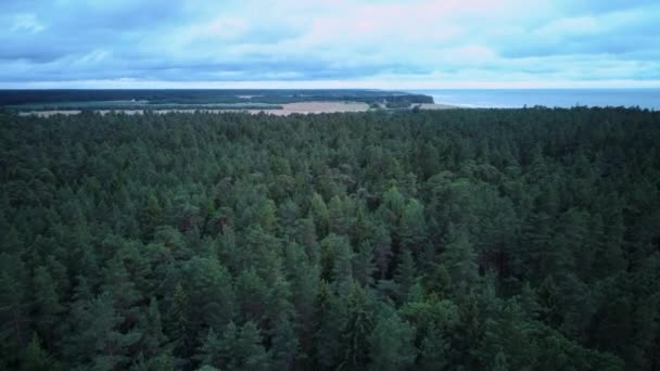 海岸線を飛んでバルト海ジュルカルン夏の太陽の日 空中からの眺めラトビア ジュルカルネ海岸は最大20メートルの高さがあります エイリアルドロンシュート — ストック動画