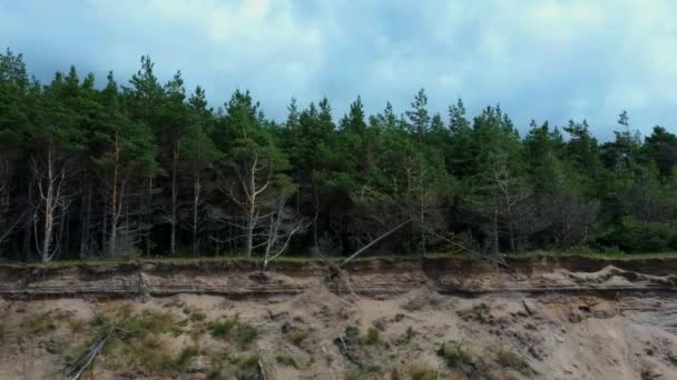 Flying Coastline Baltic Sea Jurkalne Summer Suny Day Letecký Pohled — Stock video