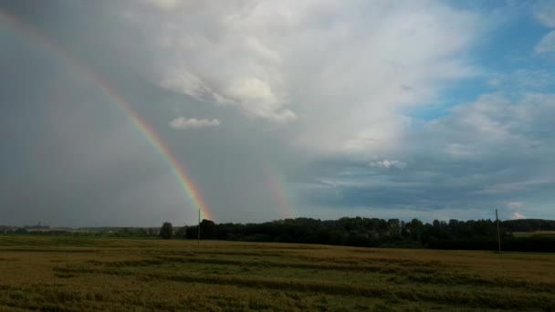 Rainbow Wheat Field Flight Ripe Crop Field Rain Colorfull Rainbow — стокове відео