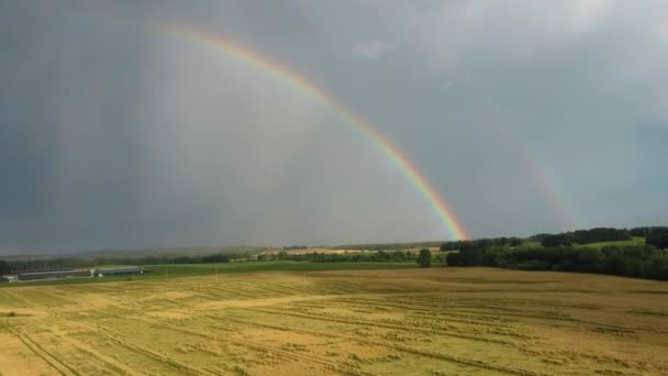 Arc-en-ciel au dessus du champ de blé. Vol au-dessus d'un champ de culture mûr après la pluie et l'arc-en-ciel coloré dans la campagne rurale de fond. Tir Dron Aérien .